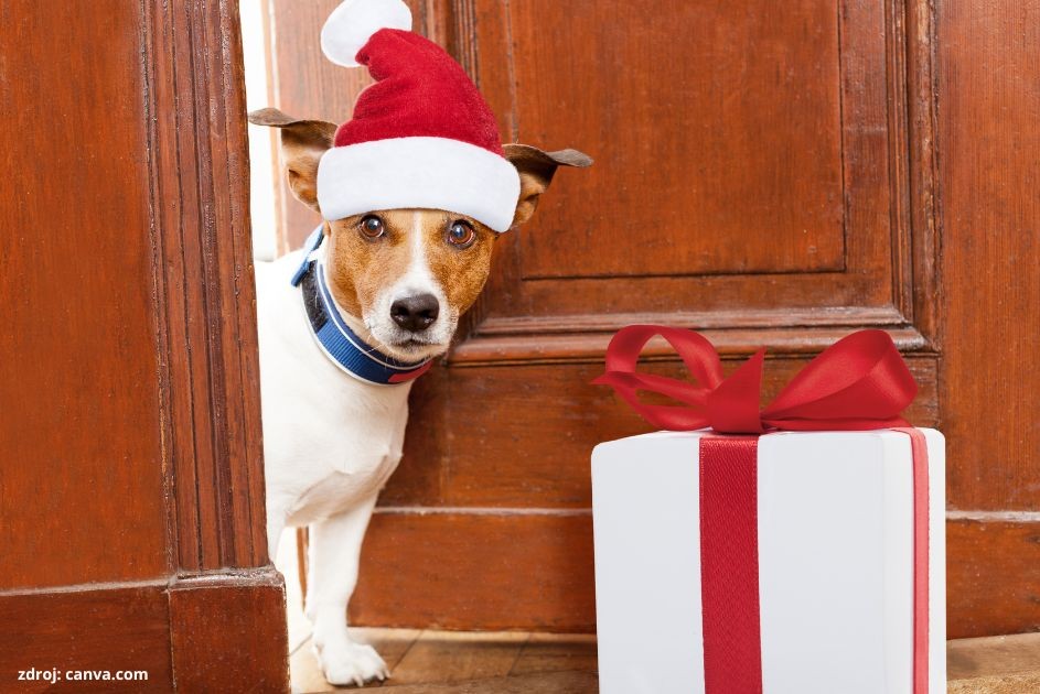 mikulas a pes clanok